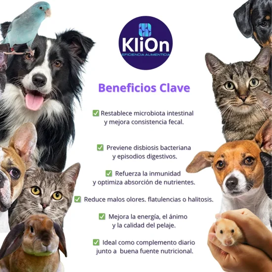 Beneficios KliOn Digest