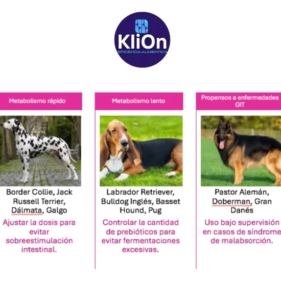Razas perros KliOn Digest